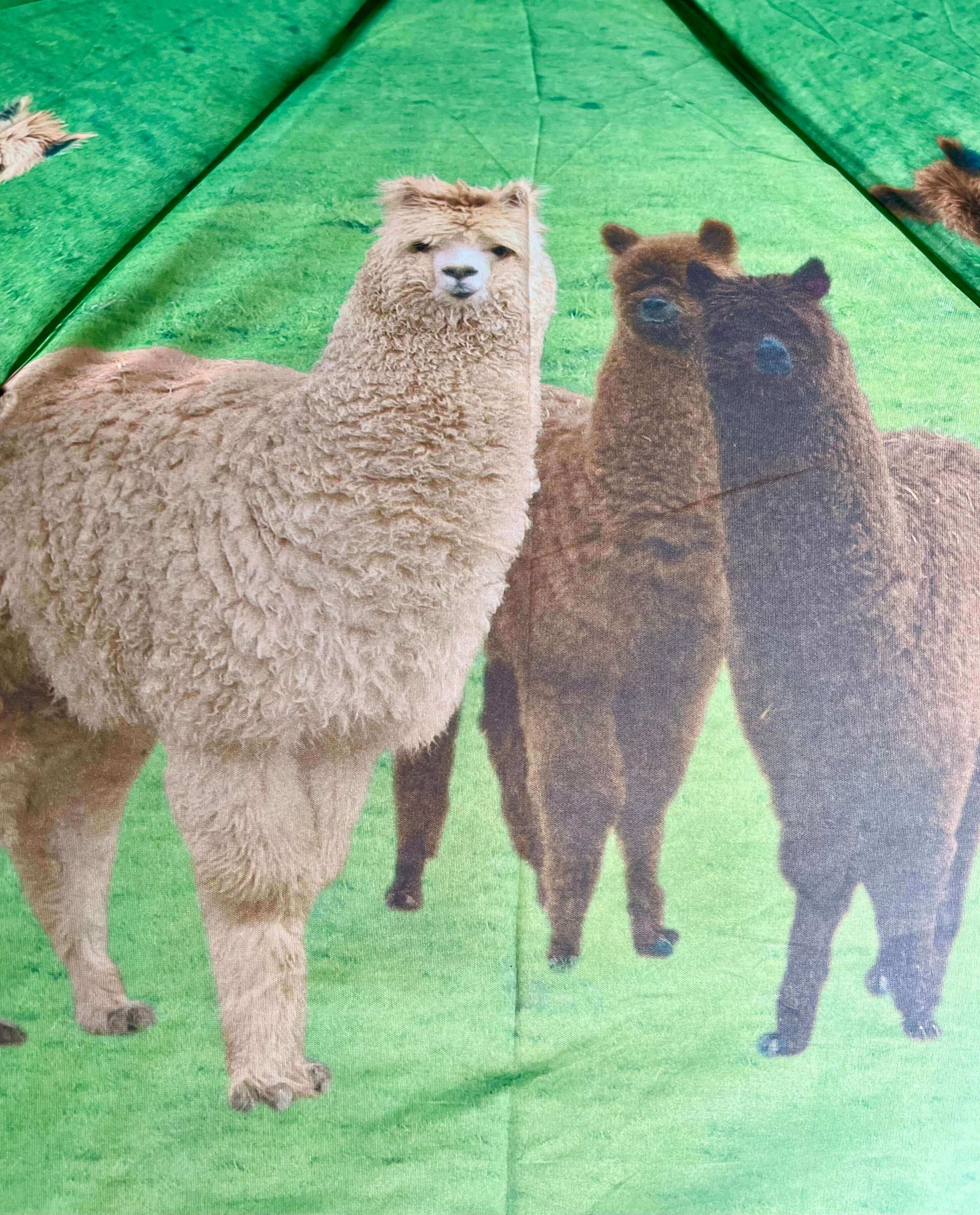 Kompakter Taschenregenschirm mit süßen Alpaka-Bildern – ideal für unterwegs