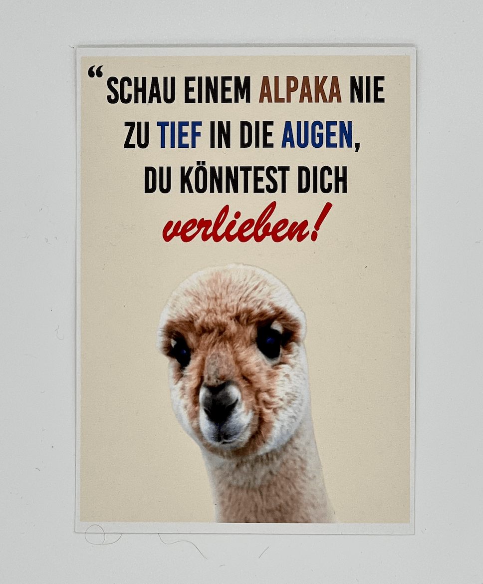 Alpaka-Themenpostkarten: Von herzlichen Glückwünschen bis zu humorvollen Sprüchen