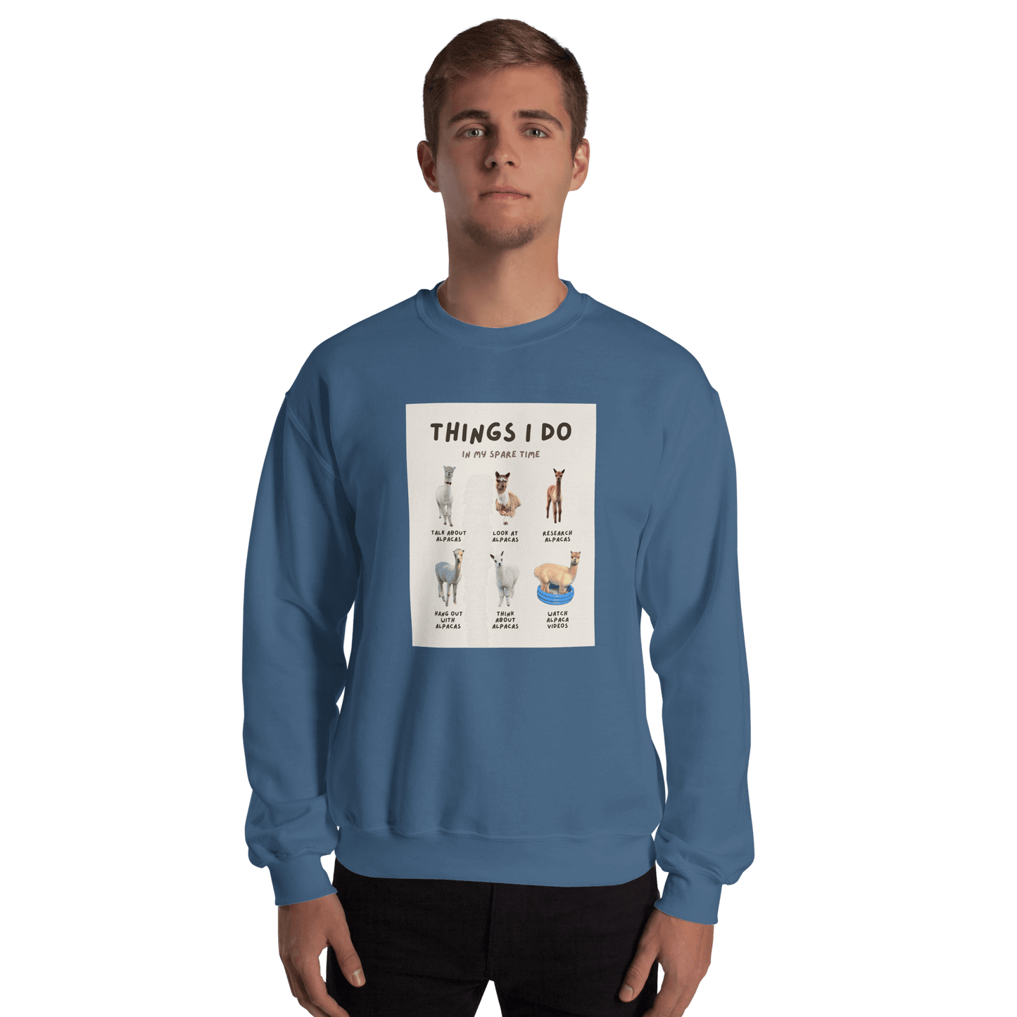 Alpaca Meme Sweater "Things I Do In My Spare Time" | Motif with funny alpaca photos | Ideal for humor-loving alpaca fans