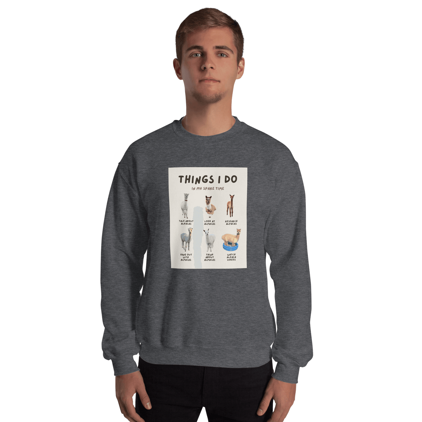 Alpaca Meme Sweater "Things I Do In My Spare Time" | Motif with funny alpaca photos | Ideal for humor-loving alpaca fans