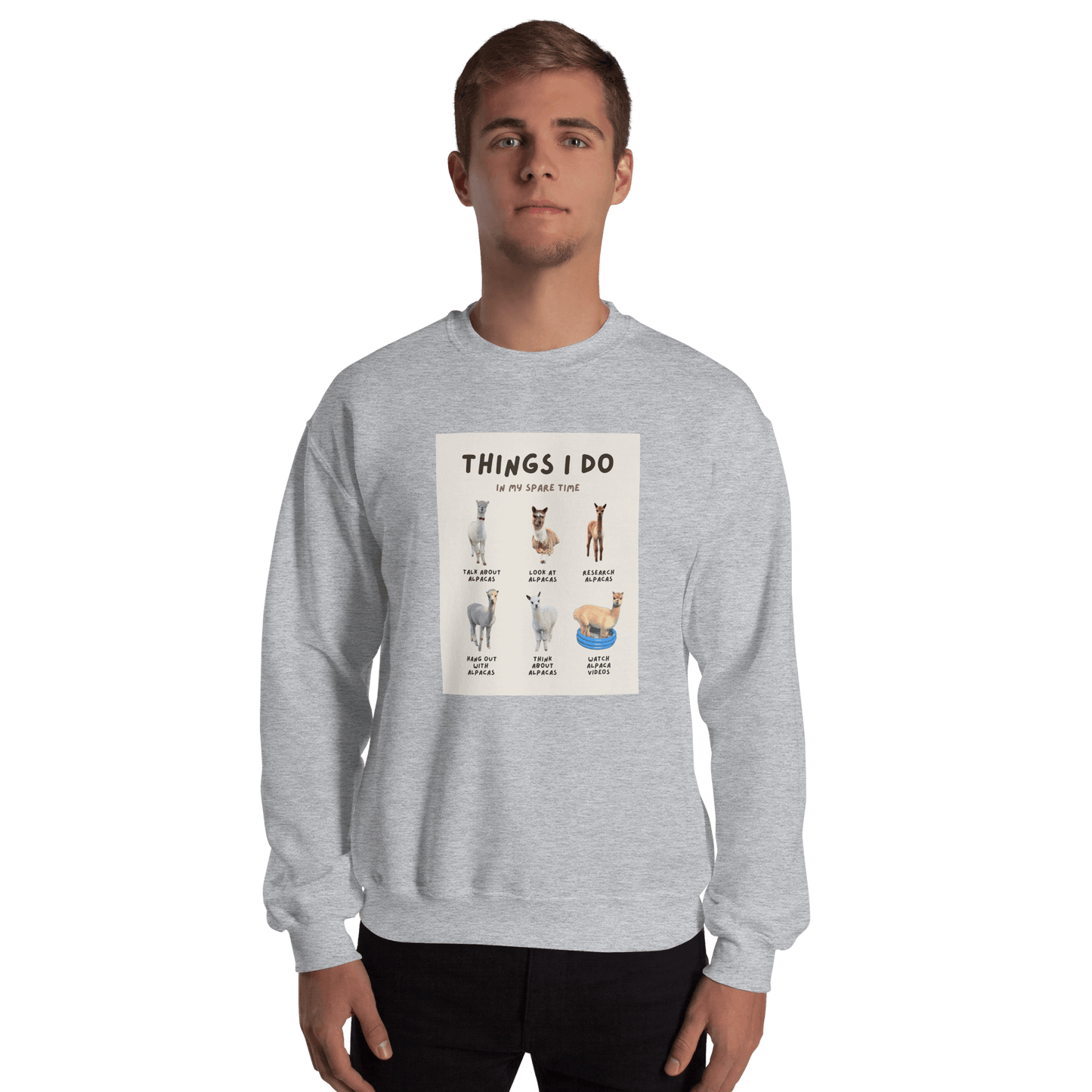Pullover im Alpaka Meme Design "Things I Do In My Spare Time" | Humorvolle Fotos unserer Alpakas & Ideal für Alpaka-Fans